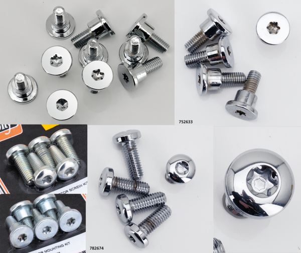 BREMSSCHEIBENSCHRAUBEN FÜR V-ROD